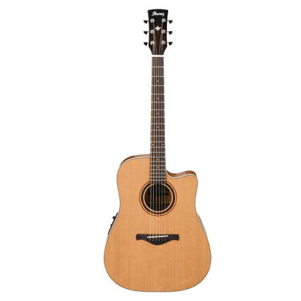 قیمت خرید فروش گیتار آکوستیک Ibanez AW250ECE LG